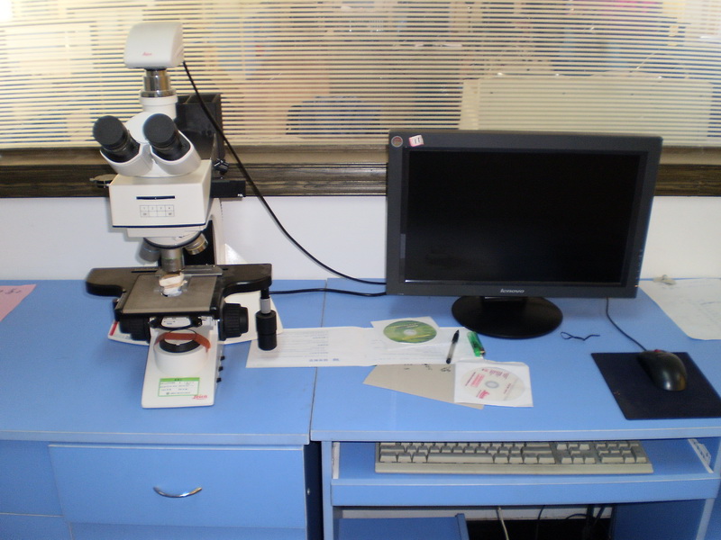 ��X�����@΢�����x��